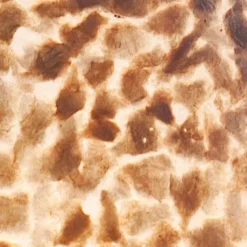 Beach tafellamp schelpen bol woonkamer><noscript><img width=