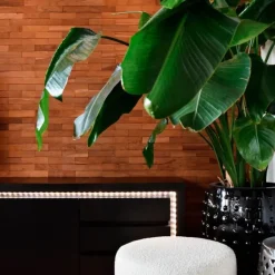 Calex Smart LED strip RGB + CCT 2 meter><noscript><img width=