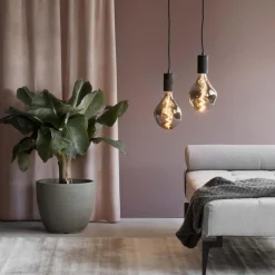 Calex Smart XXL Organic EVO Titanium><noscript><img width=