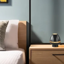 Elegante tafellamp mat zwart met goud accent><noscript><img width=