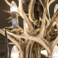 Grote 12-lichts kroonluchter met geweien>Straluma Sale