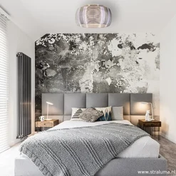 Grote plafonnière zilver met chroom 50><noscript><img width=