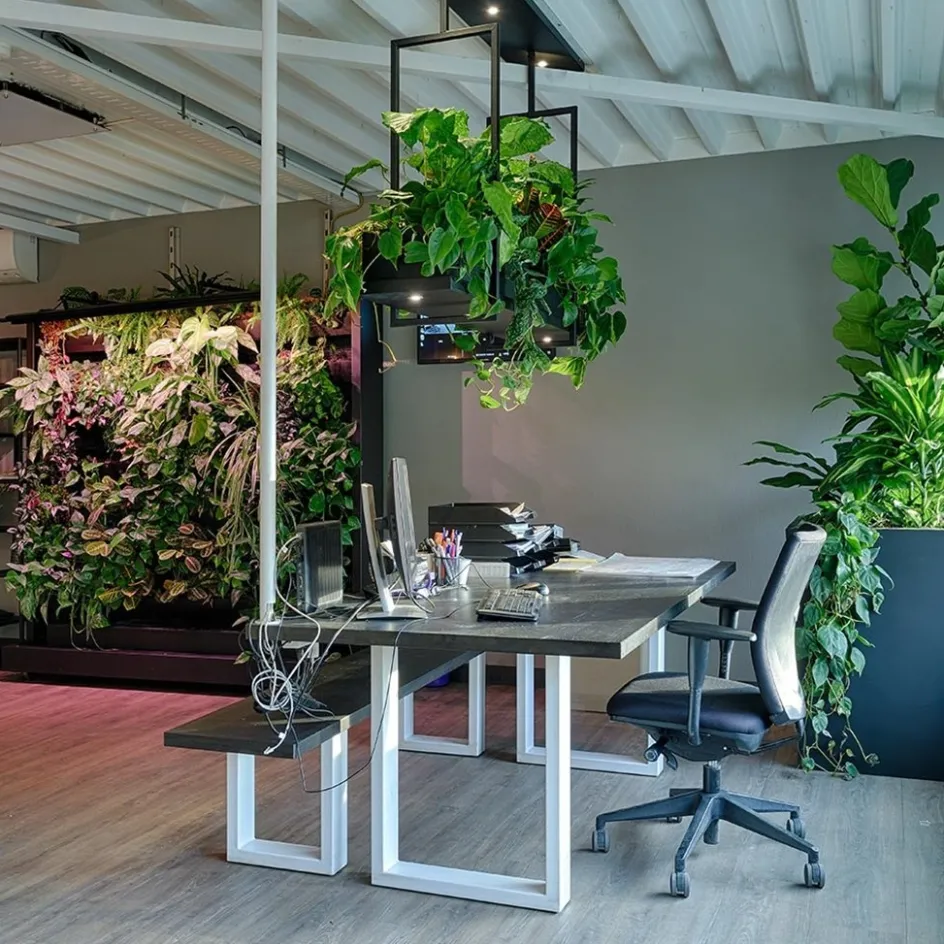 Hanglamp Oslo zwart>Straluma Sale