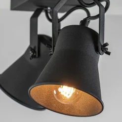 Industriële 2-lichts plafondspot mat zwart><noscript><img width=