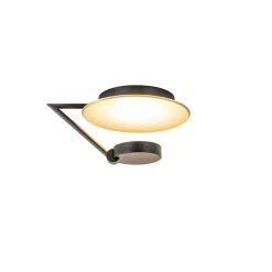 Kleine LED plafondlamp zwart met goud>Straluma New