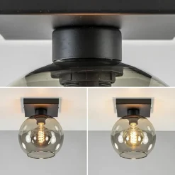 Kleine plafondlamp zwart met smoke glas 20 cm><noscript><img width=