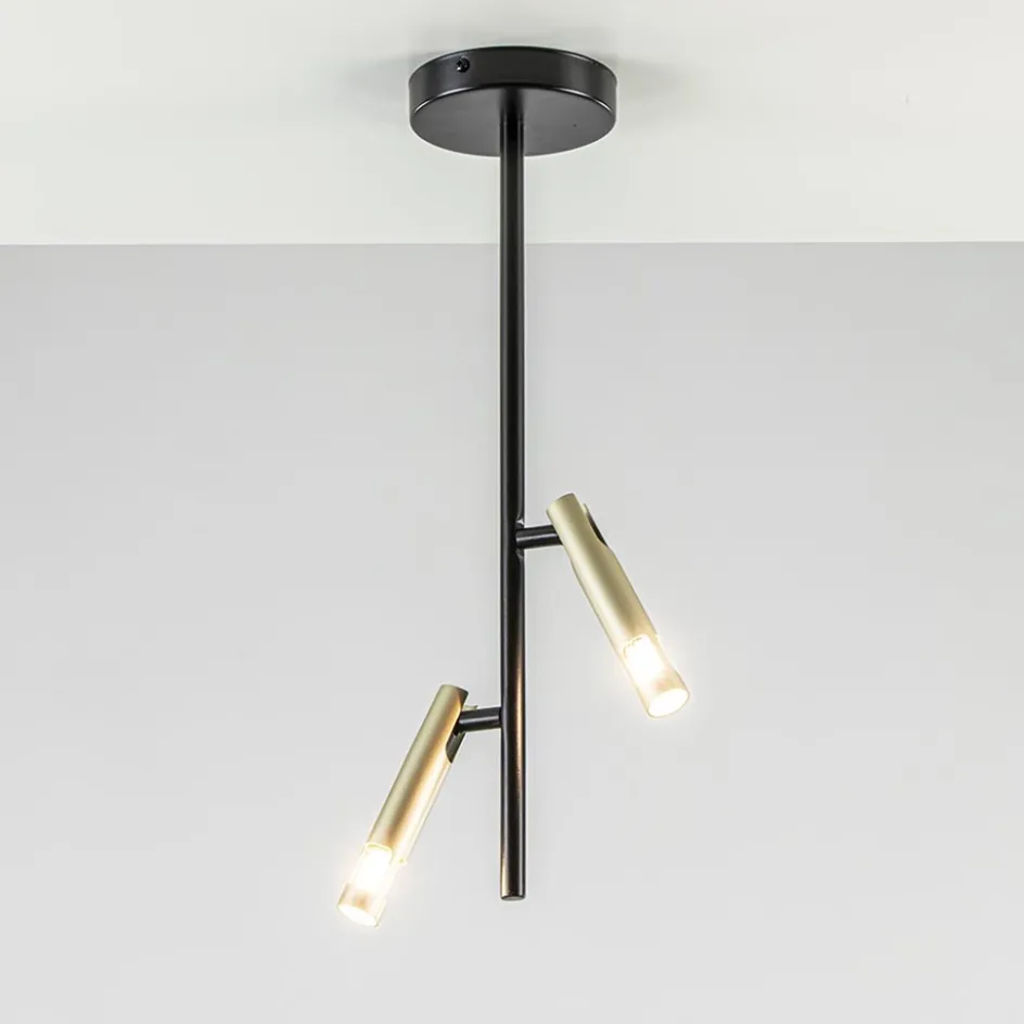 Landelijke plafondlamp zwart met goud G9>Straluma