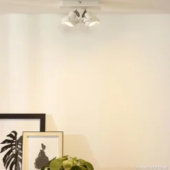 2-Lichts opbouwspot wit dim to warm LED><noscript><img width=