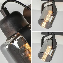 Mat zwarte 2-lichts plafondlamp met smoke glas><noscript><img width=