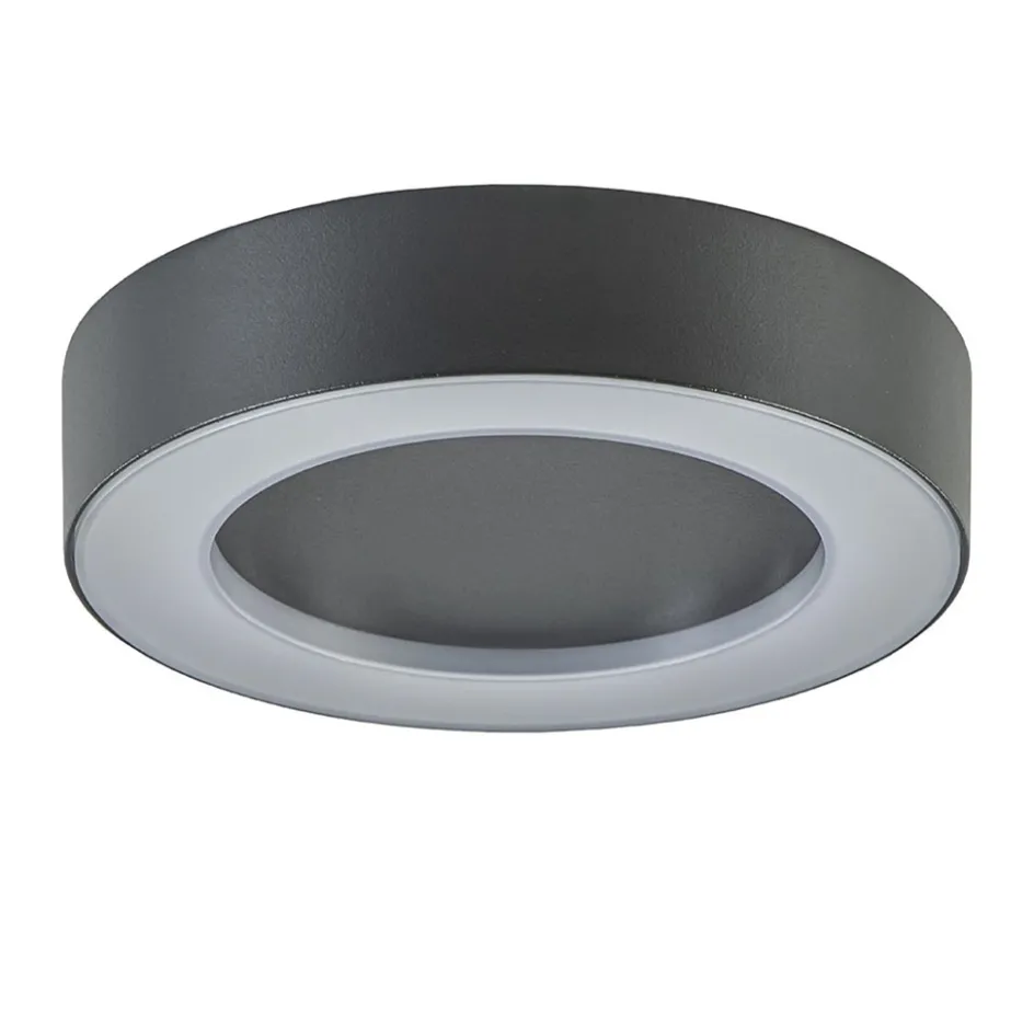 Moderne LED buitenlamp plafond/wand antraciet>Straluma Clearance