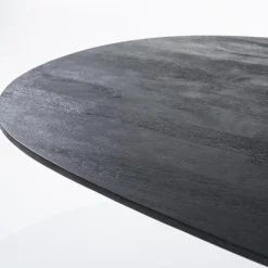 Ovale eettafel Aron 300x110 cm zwart mangohout><noscript><img width=