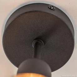 Plafondfitting basic zwart><noscript><img width=