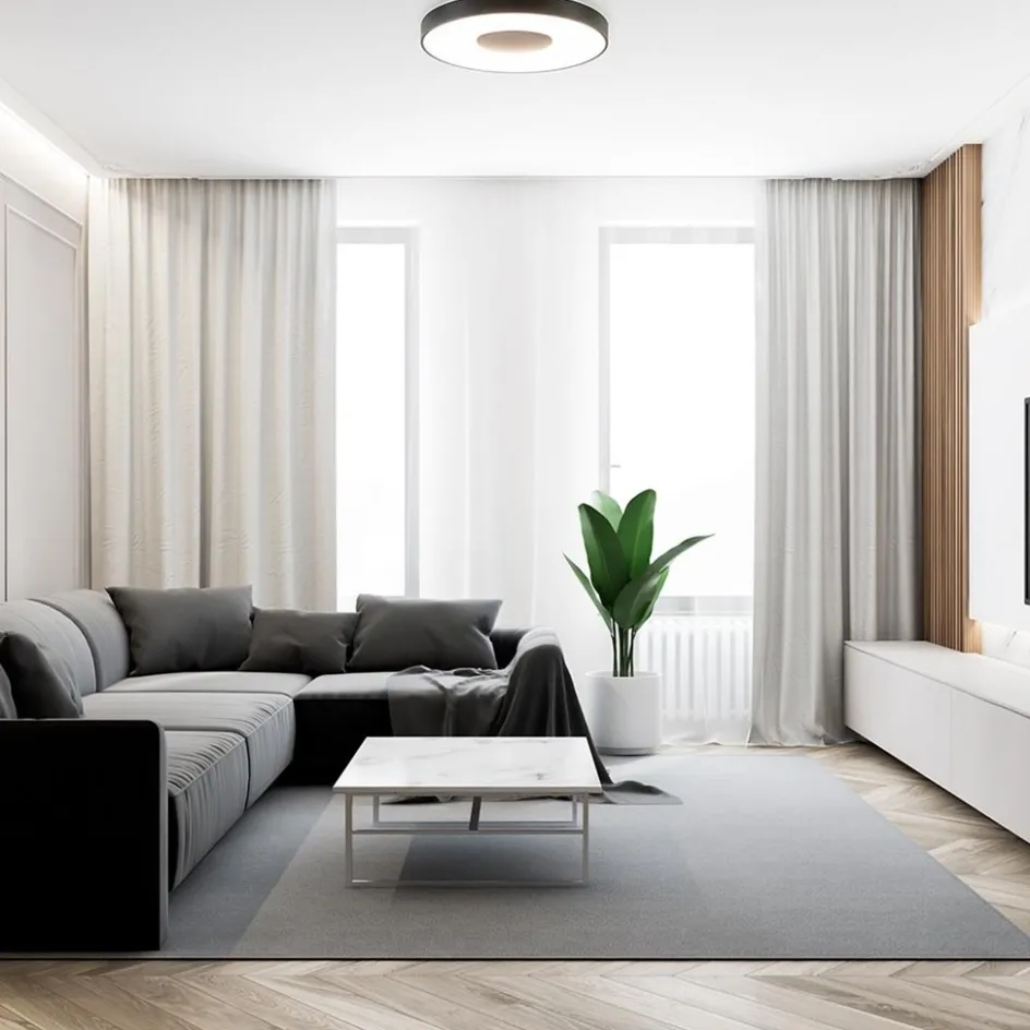 Plafondlamp Coin 65 zwart + remote>Straluma Online