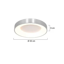 Plafondlamp Ringlede 30cm rvs led><noscript><img width=