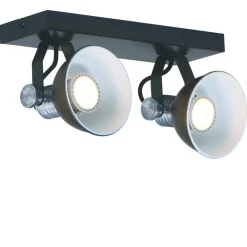 Plafondspot Brooklyn 2l zwart industrieel>Straluma New