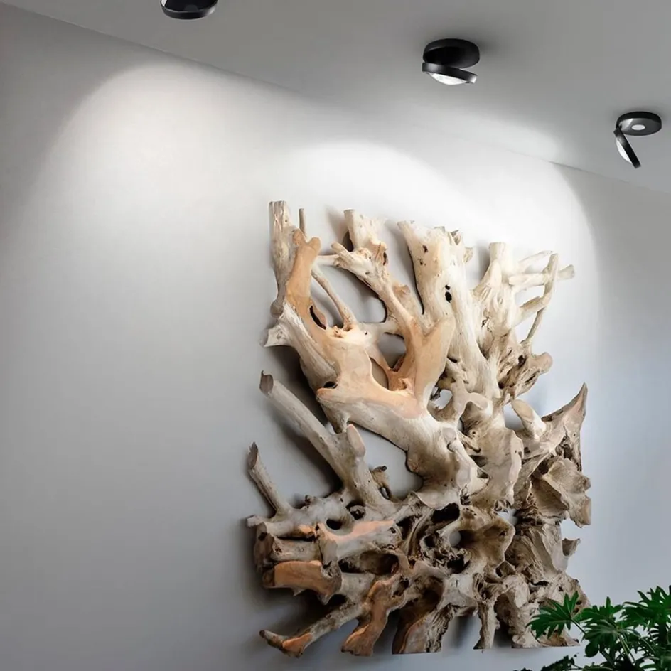 Plafondspot Nautilus zwart>Straluma