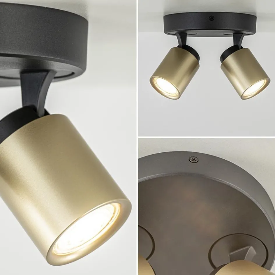 Plafondspot Razza 2L rond zwart/goud>Straluma New