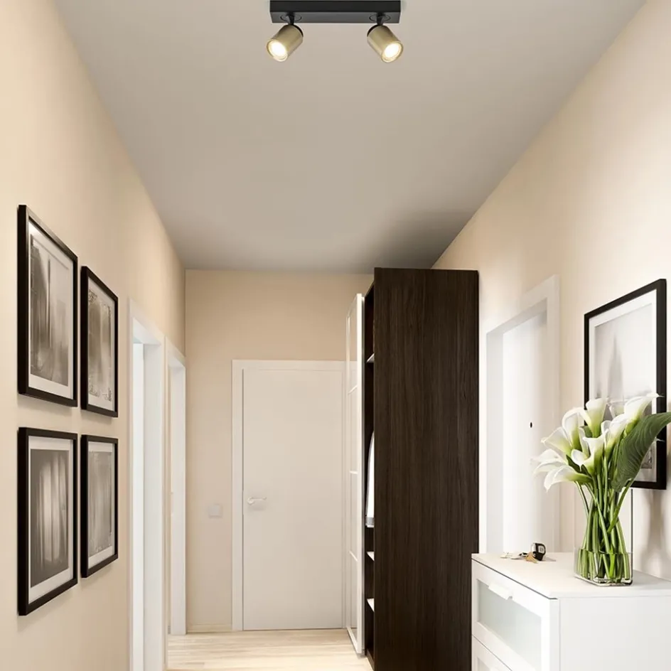 Plafondspot Razza 2L zwart/goud>Straluma Best