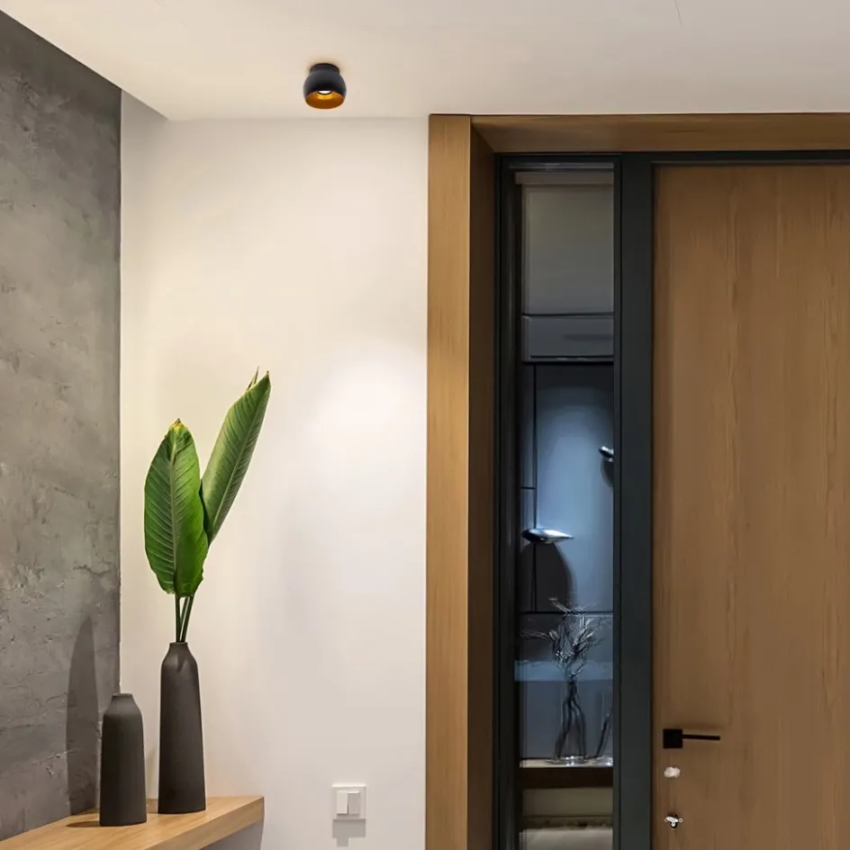 Ronde plafondspot zwart met goud GU10>Straluma