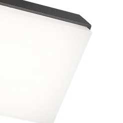 Wandlamp buiten antraciet><noscript><img width=