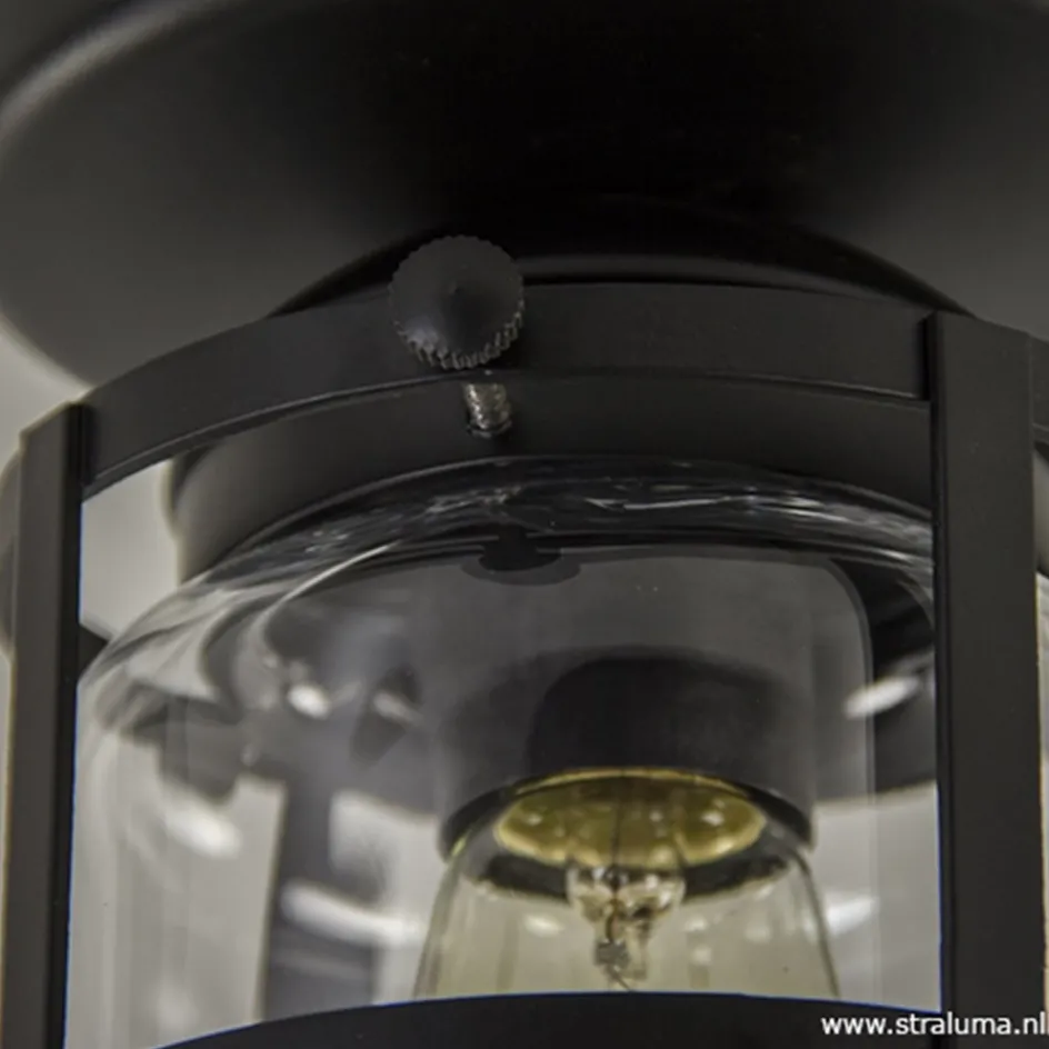 Zwarte Kooi- plafondlamp met glas>Straluma Outlet