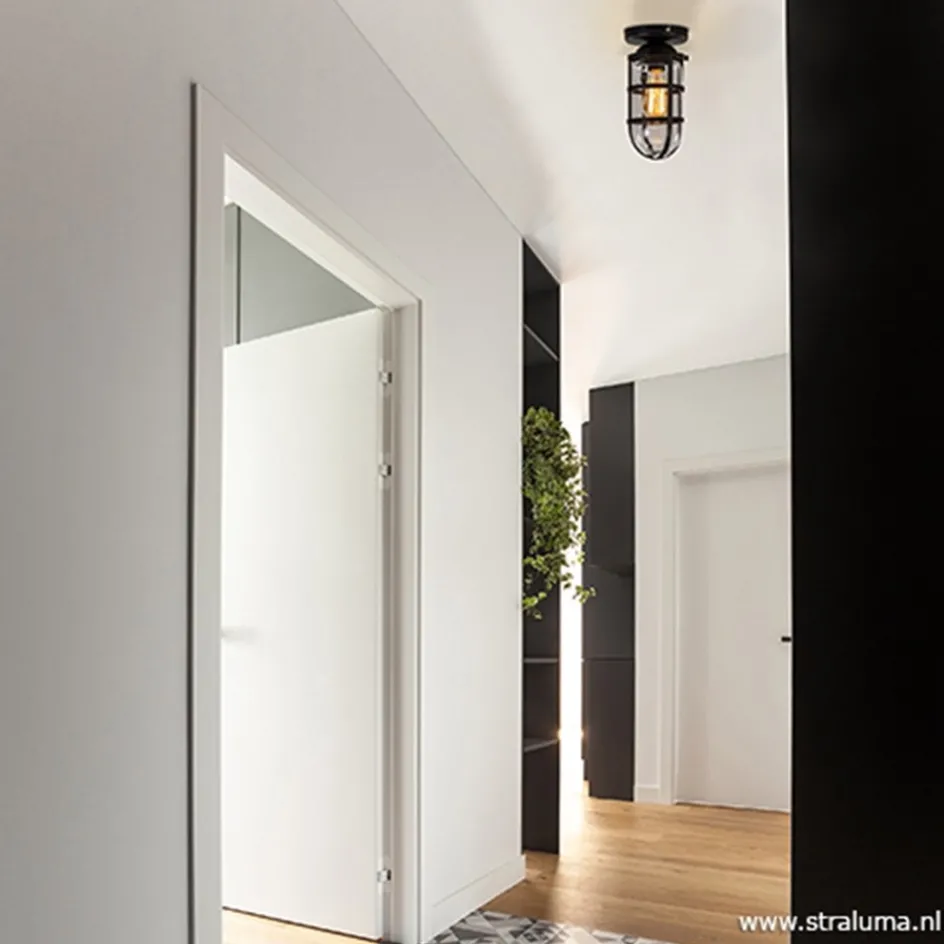 Zwarte Kooi- plafondlamp met glas>Straluma Outlet